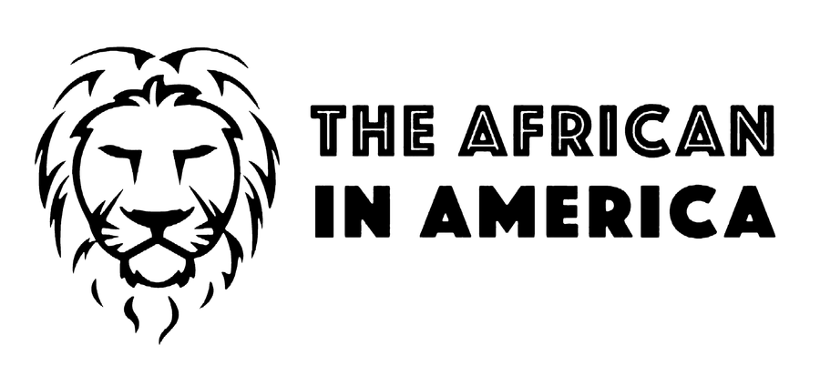 The African in America logo